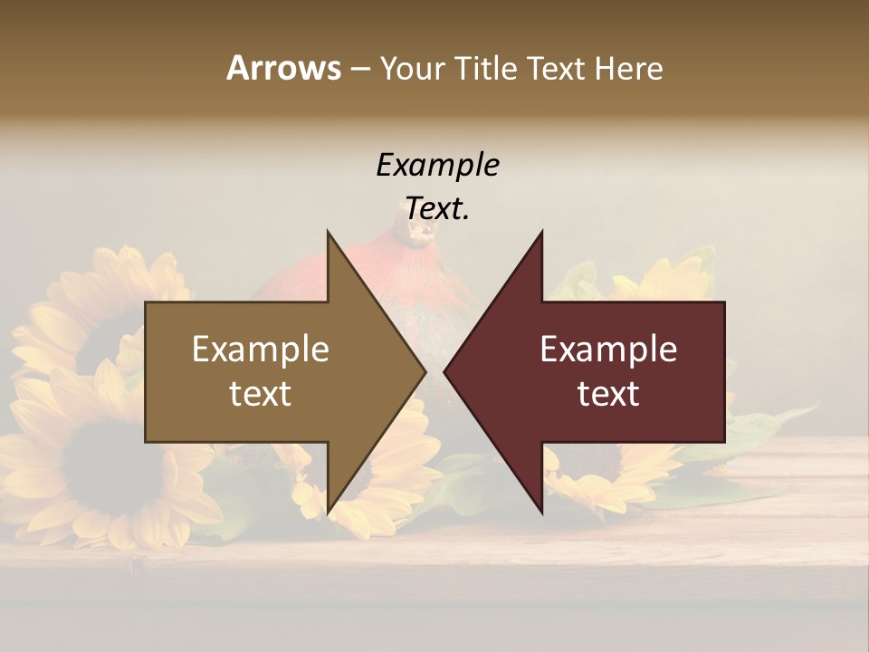Brochure Aged Sunflower PowerPoint Template