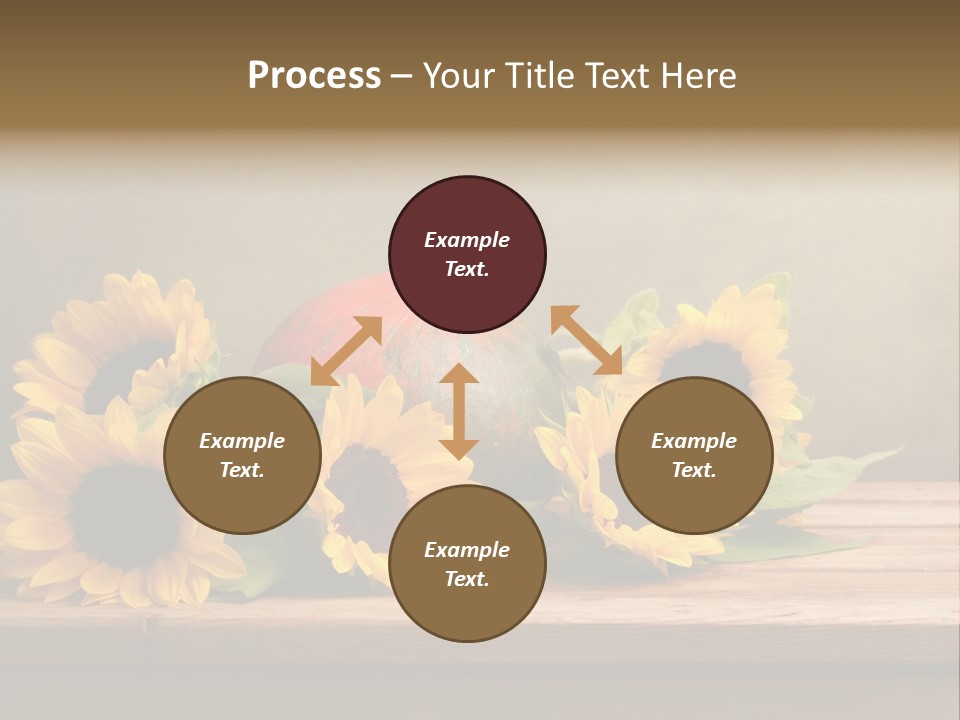 Brochure Aged Sunflower PowerPoint Template