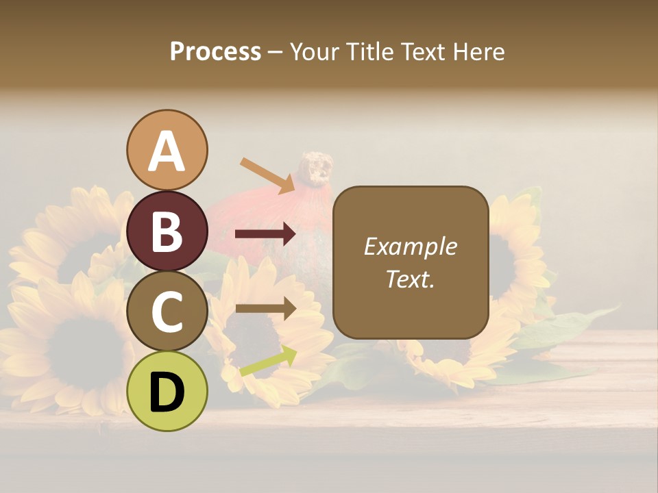 Brochure Aged Sunflower PowerPoint Template