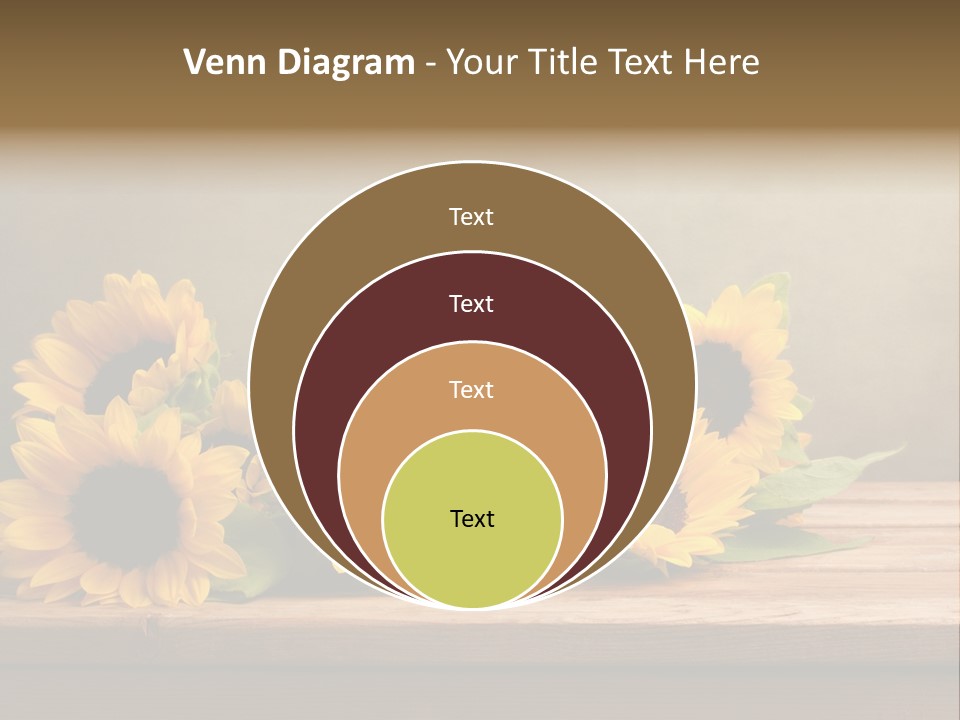 Brochure Aged Sunflower PowerPoint Template