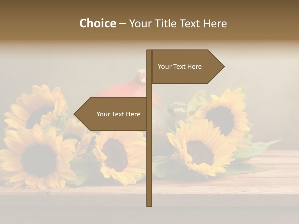 Brochure Aged Sunflower PowerPoint Template