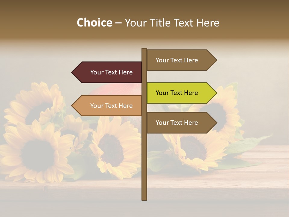 Brochure Aged Sunflower PowerPoint Template