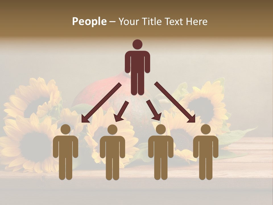 Brochure Aged Sunflower PowerPoint Template