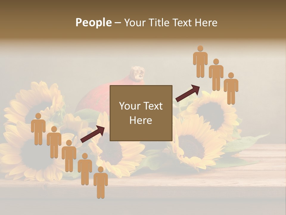 Brochure Aged Sunflower PowerPoint Template