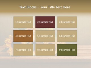 Bouquet Autumn Layout PowerPoint Template