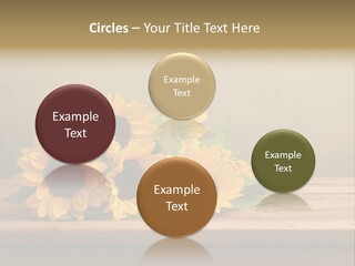 Bouquet Autumn Layout PowerPoint Template
