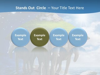 Astrology Animals Moon PowerPoint Template