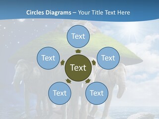 Astrology Animals Moon PowerPoint Template