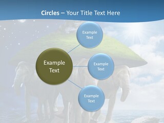 Astrology Animals Moon PowerPoint Template