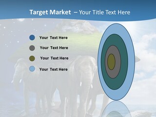 Astrology Animals Moon PowerPoint Template