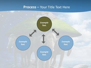 Astrology Animals Moon PowerPoint Template