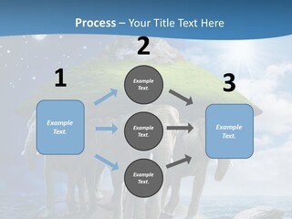 Astrology Animals Moon PowerPoint Template