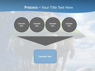 Astrology Animals Moon PowerPoint Template