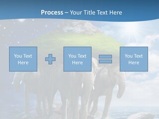 Astrology Animals Moon PowerPoint Template