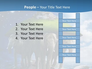Astrology Animals Moon PowerPoint Template