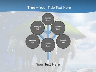 Astrology Animals Moon PowerPoint Template