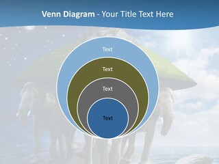 Astrology Animals Moon PowerPoint Template