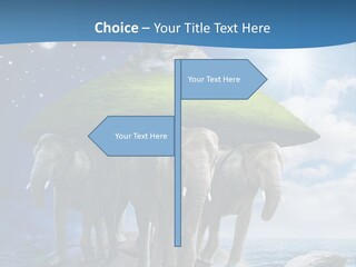 Astrology Animals Moon PowerPoint Template