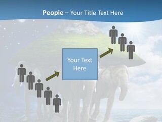 Astrology Animals Moon PowerPoint Template