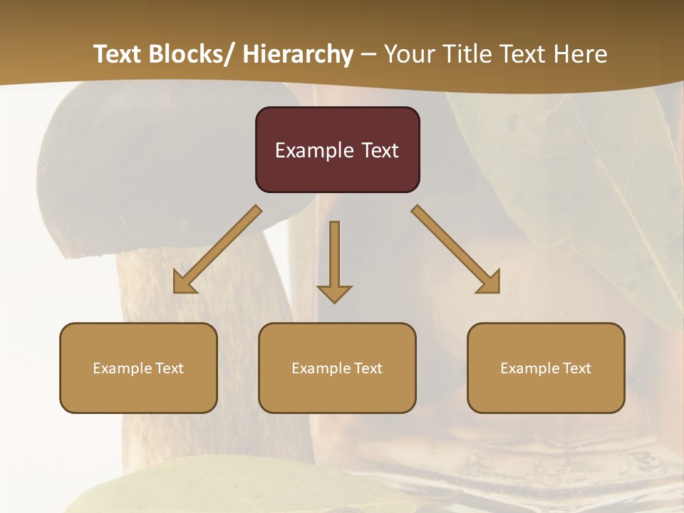 Preserves Canned Bay Leaf PowerPoint Template