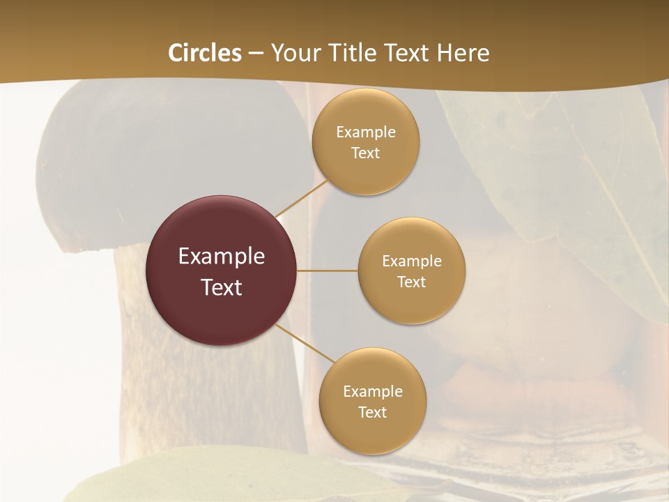 Preserves Canned Bay Leaf PowerPoint Template