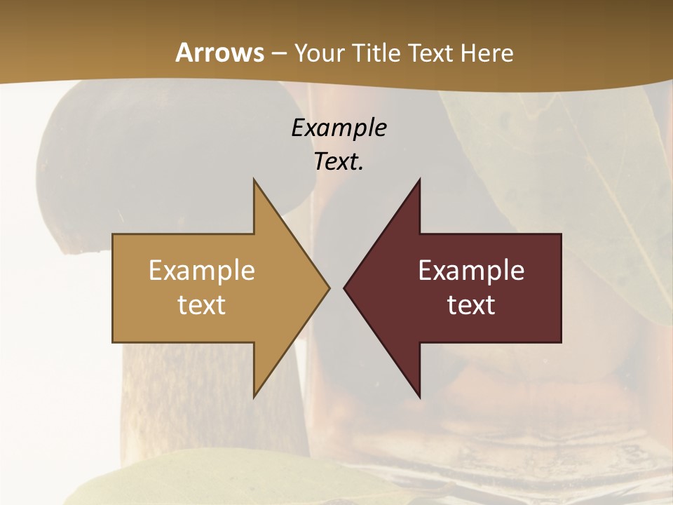 Preserves Canned Bay Leaf PowerPoint Template