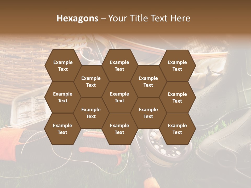 Freshwater Natural Equipment PowerPoint Template