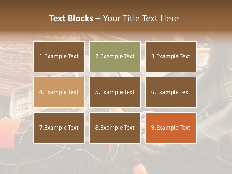 Freshwater Natural Equipment PowerPoint Template