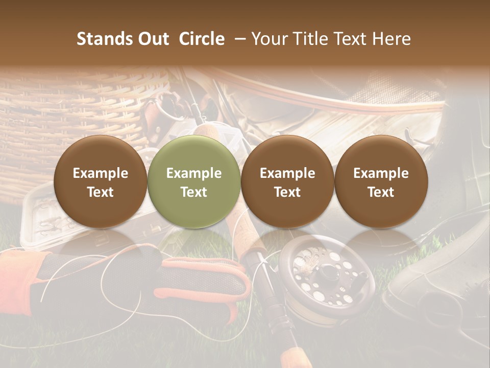 Freshwater Natural Equipment PowerPoint Template