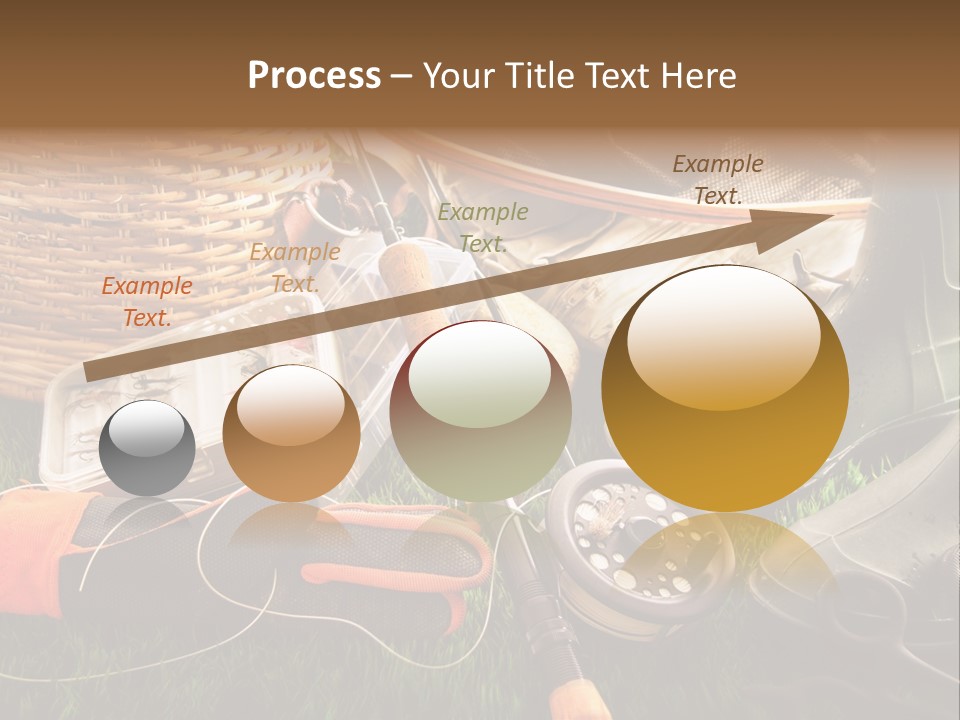 Freshwater Natural Equipment PowerPoint Template