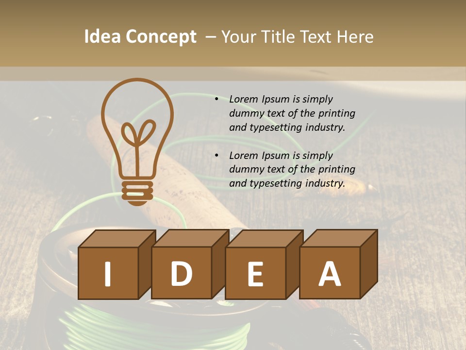 Nobody Fish Decoy PowerPoint Template