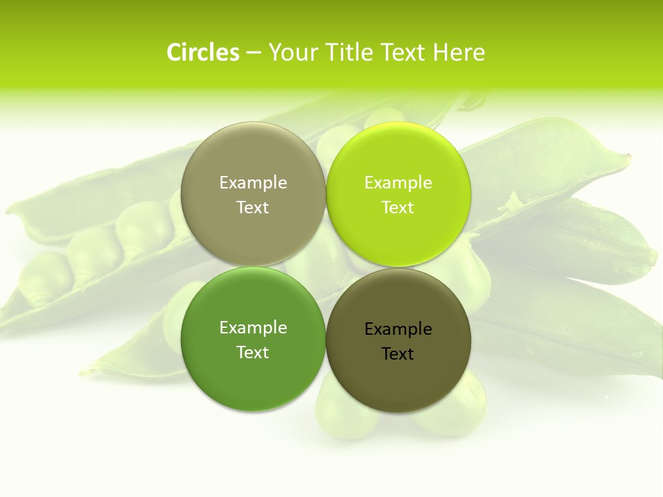 Pod White Photo PowerPoint Template