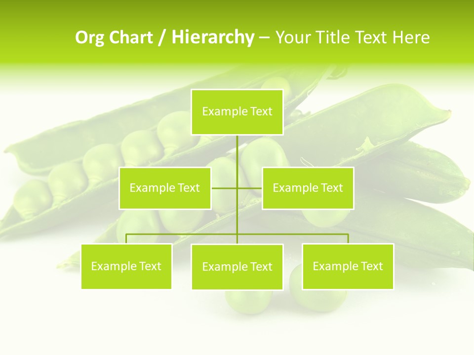 Pod White Photo PowerPoint Template