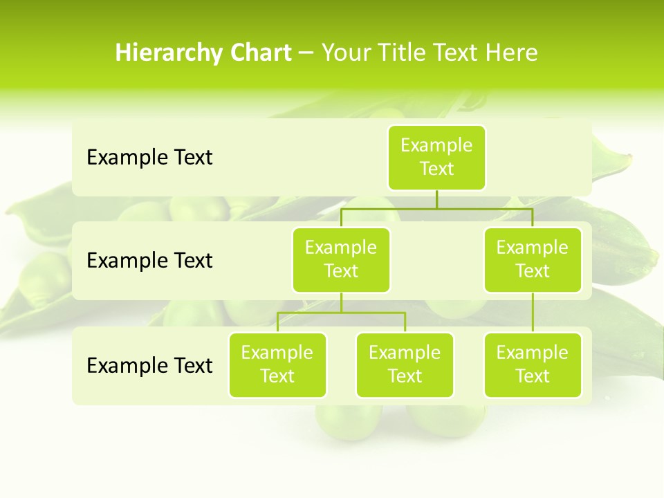 Pod White Photo PowerPoint Template