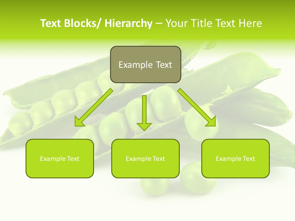 Pod White Photo PowerPoint Template