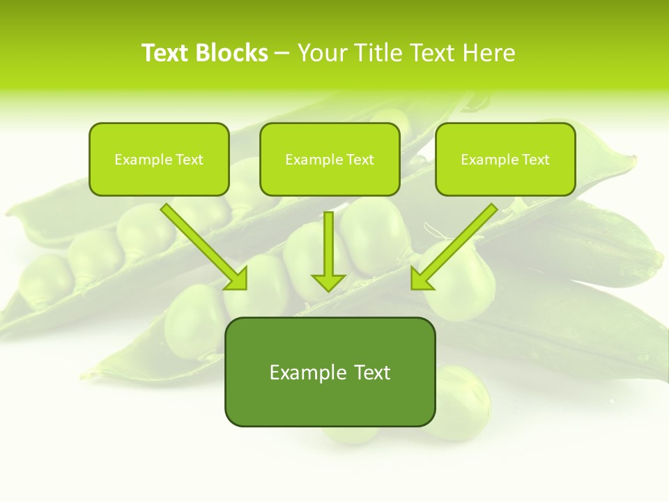 Pod White Photo PowerPoint Template