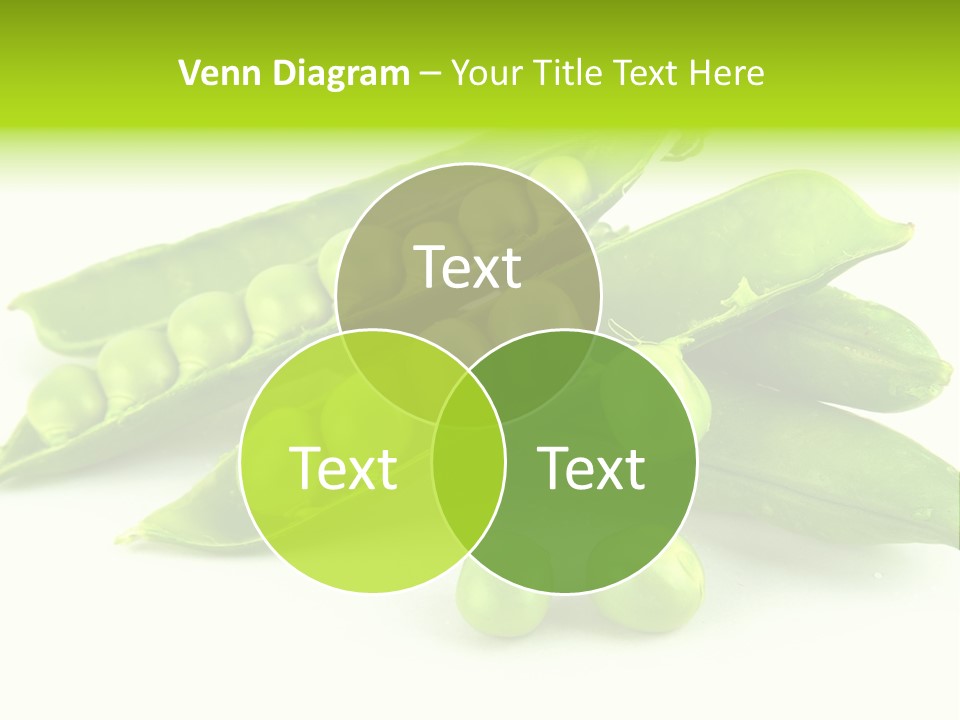 Pod White Photo PowerPoint Template