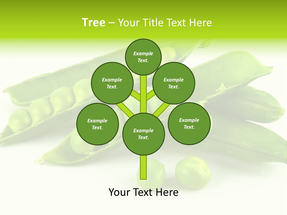 Pod White Photo PowerPoint Template