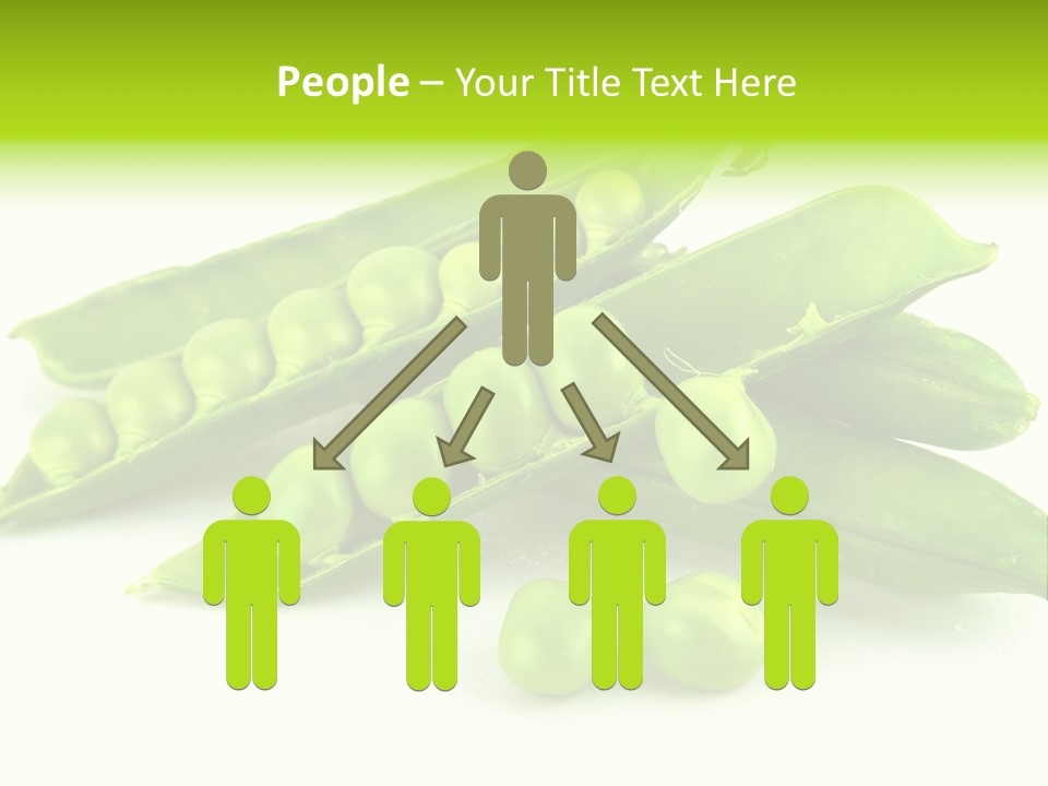 Pod White Photo PowerPoint Template