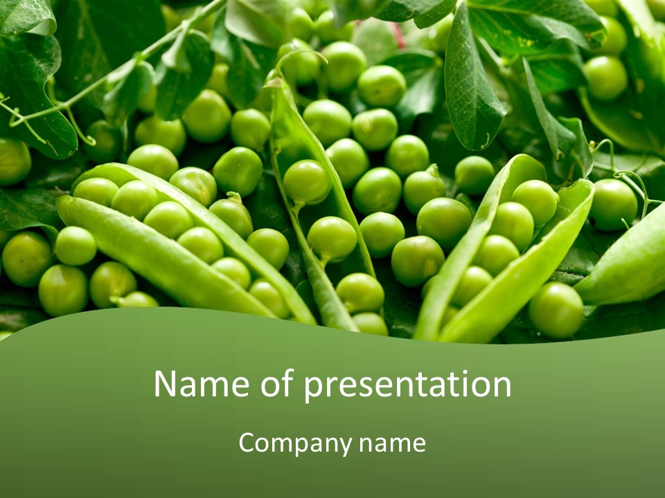 Lawny Idea Vetch PowerPoint Template