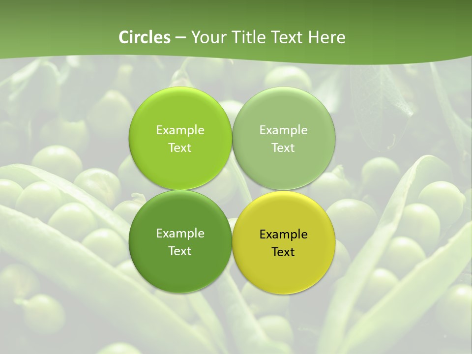 Lawny Idea Vetch PowerPoint Template