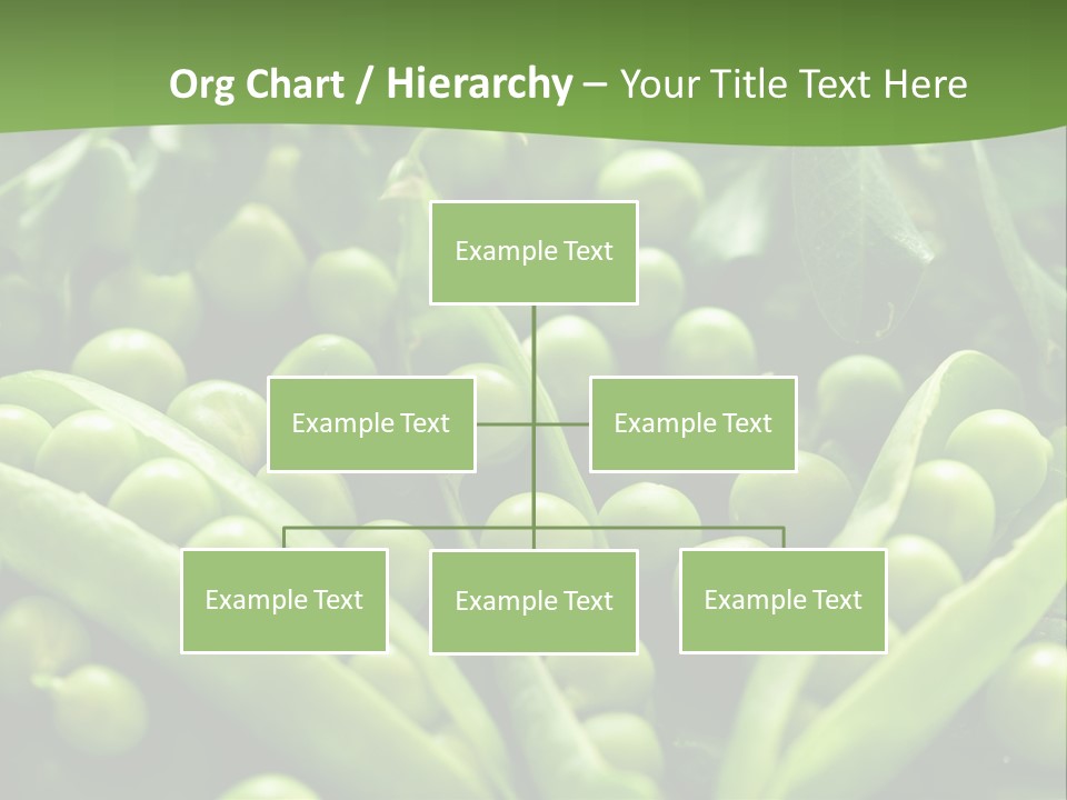 Lawny Idea Vetch PowerPoint Template