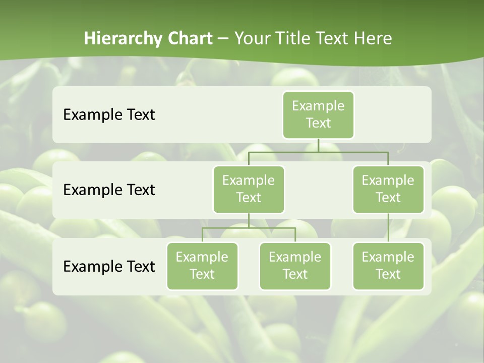 Lawny Idea Vetch PowerPoint Template