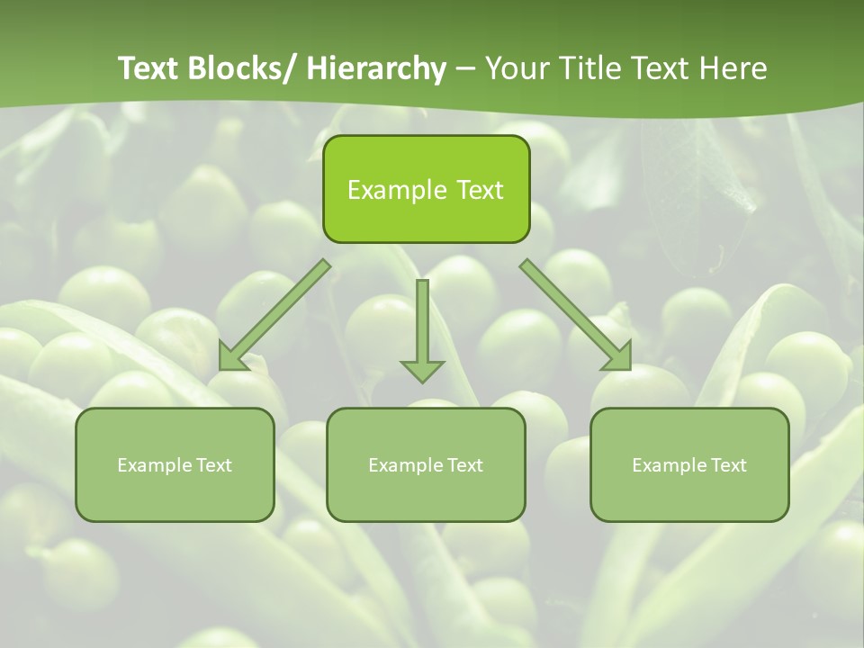 Lawny Idea Vetch PowerPoint Template