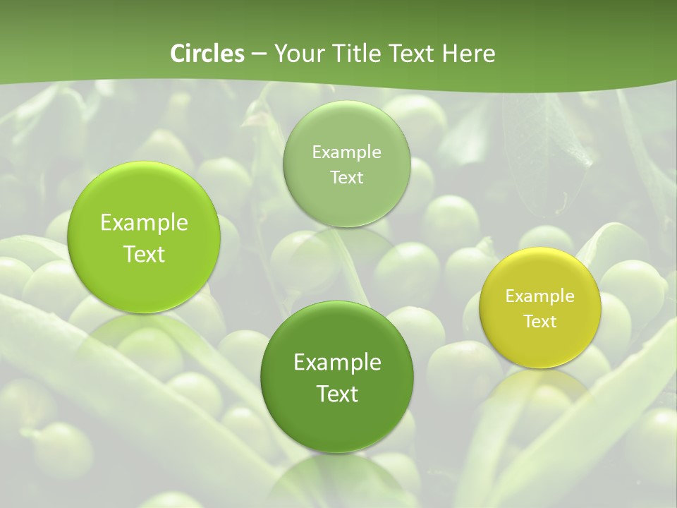 Lawny Idea Vetch PowerPoint Template