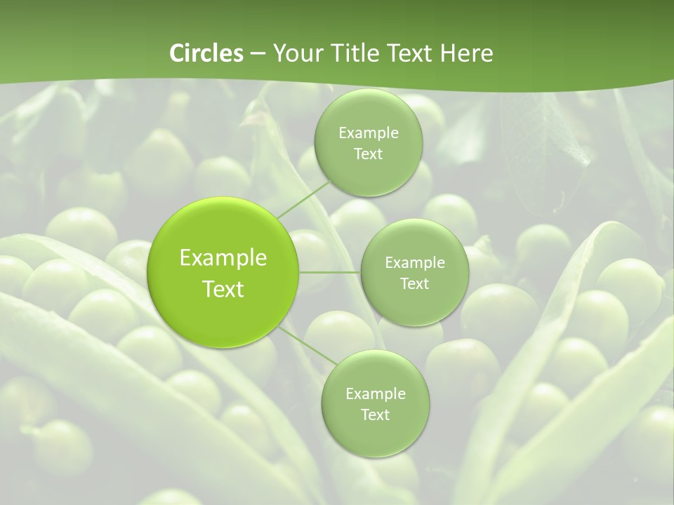 Lawny Idea Vetch PowerPoint Template