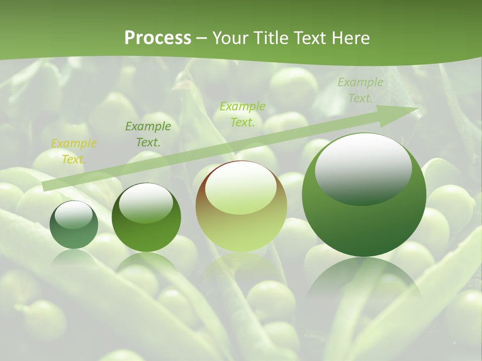 Lawny Idea Vetch PowerPoint Template