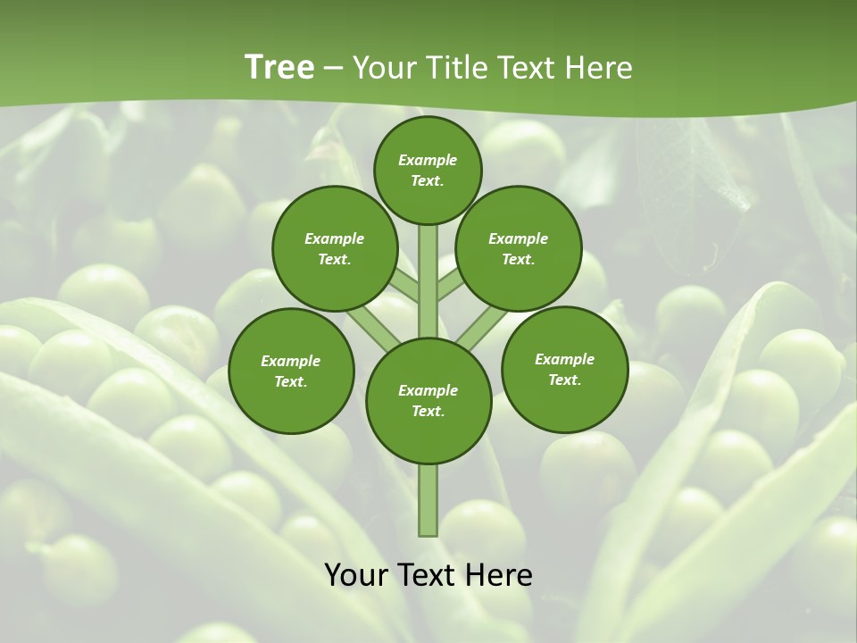 Lawny Idea Vetch PowerPoint Template