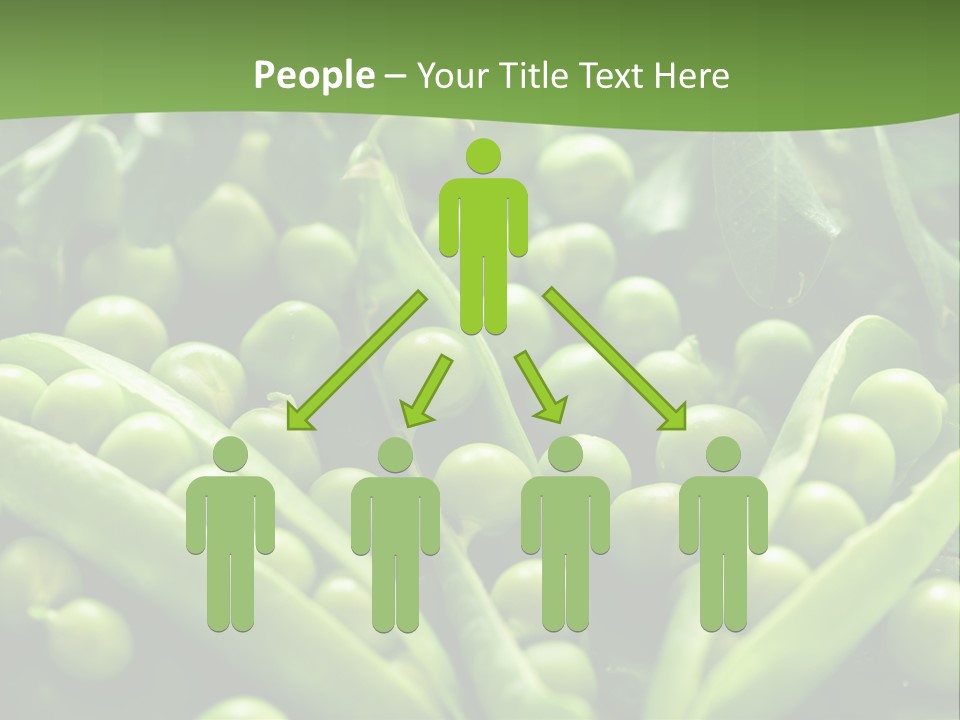 Lawny Idea Vetch PowerPoint Template