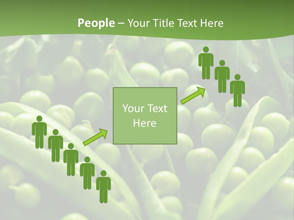 Lawny Idea Vetch PowerPoint Template